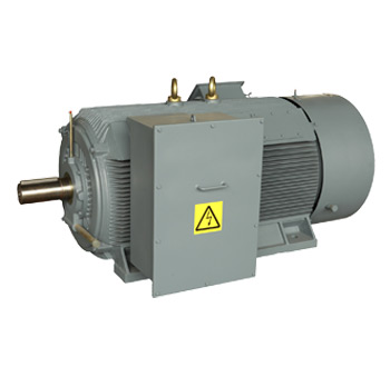 HCM High Voltage Motors