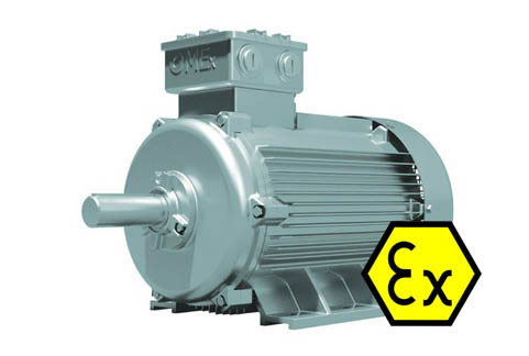 มอเตอร์กันระเบิด OMEx (Flame Proof Motor)
