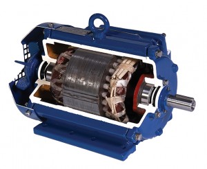 CUTAWAY_PPA_Blue