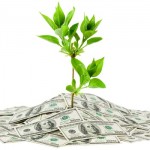 money_tree