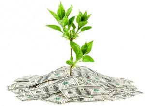 money_tree