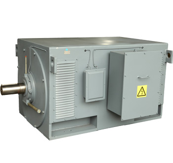 HDP   High Voltage Motors