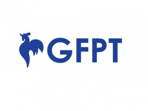 GFPT4