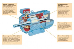 Picture1
