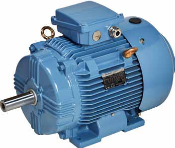 Marathon Motors (High Output Design, IEC Standard)