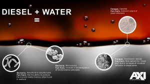 Diesel+Water