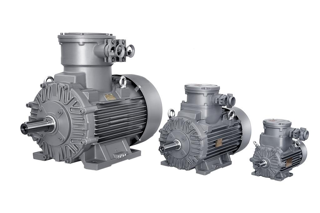 มอเตอร์กันระเบิด INNOMOTICS (Explosion Proof Motor)
