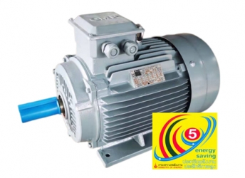 มอเตอร์ประสิทธิภาพสูง CMP รุ่น DBA3 – (Premium Efficiency Motor – IE3)