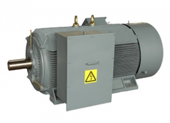 HCM High Voltage Motors